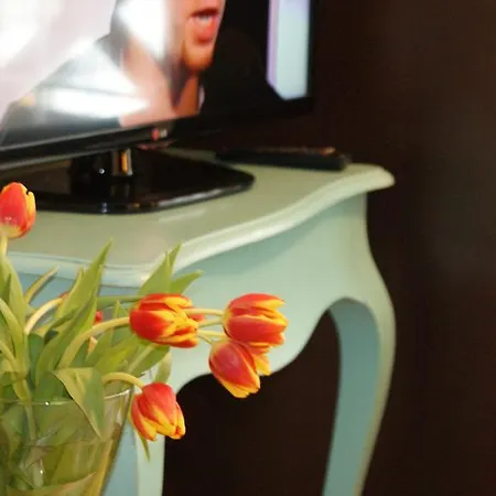 Plejady Homestay szállás